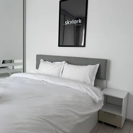 Apartment Skylark - Sydney Penthouse With Jacuzzi And Mountain View Brasov