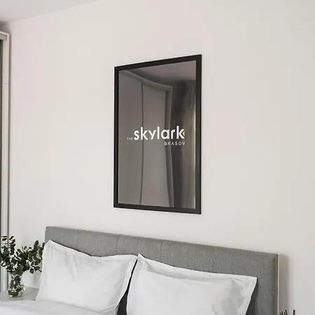 Apartmán Skylark - Sydney Penthouse With Jacuzzi And Mountain View Brašov