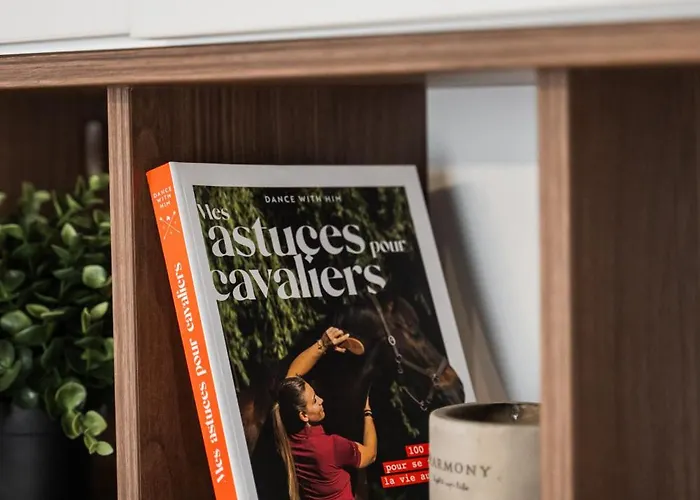 Skylark - Sydney Penthouse With Jacuzzi And Mountain View 布拉索夫