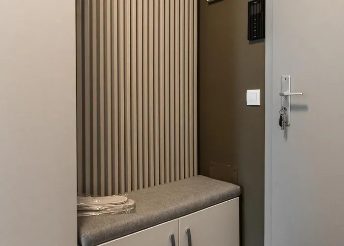 Skylark - Sydney Penthouse With Jacuzzi And Mountain View 公寓 布拉索夫