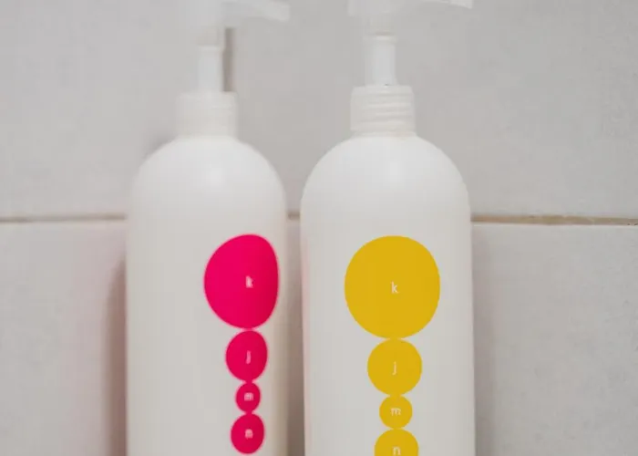 Skylark - Sydney Penthouse With Jacuzzi And Mountain View 布拉索夫